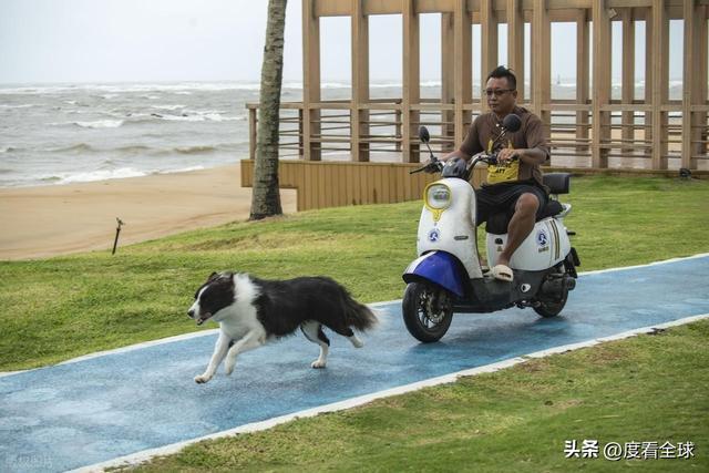 !海南暴雨狂风肆虐防护指南速存台风 “博罗依” 今夜登陆越南(图2) !海南暴雨狂风肆虐防护指南速存台风 “博罗依” 今夜登陆越南(图2)